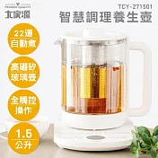 大家源 智慧調理養生壺 TCY-271501