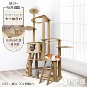 貓本屋 190cm挑高雙太空艙 雙爬梯多層貓跳台
