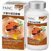 【永信HAC】高濃縮子實牛樟芝膠囊(60粒/瓶)