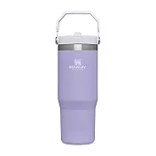 STANLEY 經典系列 IceFlow 手提吸管杯 0.88L / 薰衣紫
