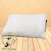 采棉居寢飾文化館 日本SEK抗菌防螨單枕心