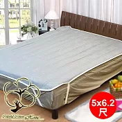 采棉居寢飾文化館 石墨烯抗菌保潔墊5x6.2尺