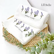 義大利La Belle《蘿莉亞》刺繡舒柔透氣枕巾2入(共四色)-素雅白