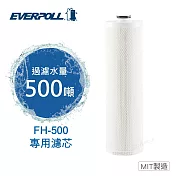 【EVERPOLL】全戶濾淨雙效濾芯FH-050(FH-500專用濾芯)