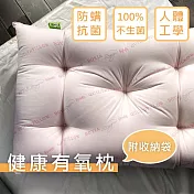 【麗塔寢飾】優質防螨抗菌健康有氧枕(1入)