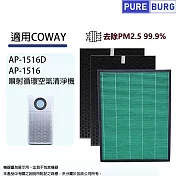 適用Coway格威綠淨力AP-1516 AP-1516D噴射循環大孔劉空氣清淨機HEPA濾網+2年份活性碳濾心組合