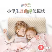 GreySa格蕾莎【小學生長曲線記憶枕S-120】 格紋
