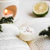 【The Forest 癒森林】香氛蠟塊4入組- 初夏午後