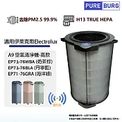 適用Electrolux伊萊克斯Pure A9.2高款29坪EP71-76WBA 76BLA 76GRA高效HEPA濾網