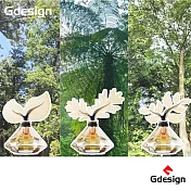 【Gdesign】AROMA-葉紙 森林擴香組 G-SSK025 附 大地精油100ML及台灣特色-綜合擴香葉紙3入