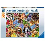 德國Ravensburger維寶拼圖 動物自拍 (500片)