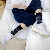 【LEEDS WEATHER】 Bermuda Triangle - 復古幾何線條∣抑菌除臭、台灣製∣設計襪 23 - 28 cm