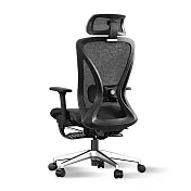 STYLE格調 Ergo 3D曲面頸部支撐人體工學椅/辦公椅 黑網