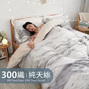 《BUHO》台製300織100%TENCEL純天絲床包枕套三件組-雙人 《薄月淡墨》