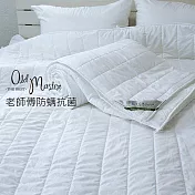 【麗塔寢飾】4*5尺兒童 分離式春夏薄被胎 (防蹣抗菌可水洗)