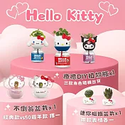 為你每天加加油【green pandora】hello kitty 組合 (不倒翁盆栽(經典款、50週年款擇一)+療癒植物瓶(三款隨機出貨)+迷你磁鐵盆栽(2入組)) 50週年款（粉色）款不倒翁