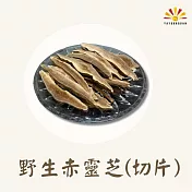 【亞源泉】野生赤靈芝 100g