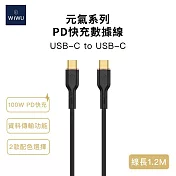 【WiWU】元氣系列 100W PD快充數據線YQ02 Type-C 1.2米 黑