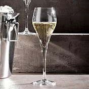 《VEGA》Teplena香檳杯(160ml) | 調酒杯 雞尾酒杯