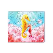 海馬寶貝 Seahorse Baby