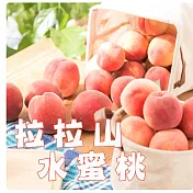 【黑貓嚴選】桃園拉拉山水蜜桃(12粒/1500g/盒) (D+7個工作天出貨)