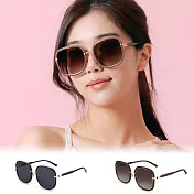 【ALEGANT】韓流時尚微方圓弧設計墨鏡/UV400太陽眼鏡 沐稻棕