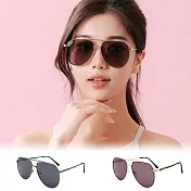 【ALEGANT】義式品味飛官寶麗來偏光墨鏡/UV400太陽眼鏡 朗聲金