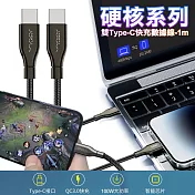 Vyvylabs 100W硬核 雙Type-C 快充數據線-100cm-2條入