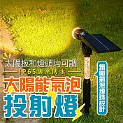 庭院景觀太陽能氣泡投射燈(1組2隻)