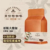 《貝仕特咖啡》哥斯大黎加 音樂家 海頓 葡萄乾蜜處理 咖啡豆 (半磅) 中淺烘焙