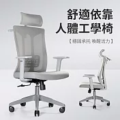 【好氣氛家居】S型精準護脊透氣掛衣工學椅-兩色可選 灰色