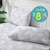 義大利La Belle《萊恪司特》超COOL超涼感信封枕套--2入