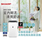 SHARP夏普18L自動除菌離子衣物乾燥抗黴除濕機 DW-P18HT-W