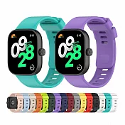 紅米手錶4/5代 Redmi Watch 4/5 多彩矽膠單色錶帶腕帶  酒紅