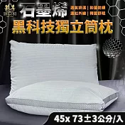 【家購網嚴選】NINO1881石墨烯獨立筒枕 45X73cm