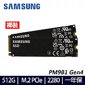【Samsung】三星 PM9B1 512G M.2 2280 PCIE 固態硬碟(裸裝 兩條)