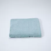 【日本TT毛巾】日本製泉州認證有機棉毛巾-多色任選 (溫和莓藍)