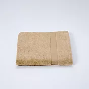 【日本TT毛巾】日本製泉州認證有機棉毛巾-多色任選 (溫和茶棕)