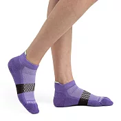 【紐西蘭Icebreaker 】女 薄毛圈多功能運動踝襪-紫/咖啡/薄荷綠 S