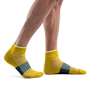 【紐西蘭Icebreaker 】男 薄毛圈多功能運動踝襪-芥末黃/墨綠 S