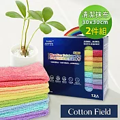 棉花田【Rainbow】超細纖維清潔抹布(二件組)