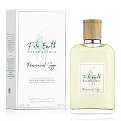 Ralph Lauren 拉夫勞倫 POLO EARTH 普羅旺斯鼠尾草男性淡香水(100ml)-專櫃公司貨