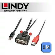 LINDY 林帝 主動式 DVI-D to mini DisplayPort 轉接線 1m (41996)