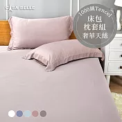 法國CASA BELLE《淡雅淨色》特大天絲床包枕套組(共五色)-粉色