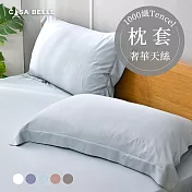 法國CASA BELLE《淡雅淨色》天絲壓框枕套-2入(共五色)-藍色