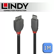 LINDY 林帝 ANTHRA USB3.2 Gen1 Type-C/公 to Micro-B/公 傳輸線 1m (36621)