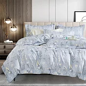 《DUYAN 竹漾》台灣製 奧地利天絲雙人床包被套四件組 / 涼風花語