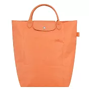 LONGCHAMP LE PLIAGE GREEN系列刺繡長把再生尼龍摺疊水餃包(中) 橙