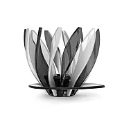【HARIO】V60 睡蓮濾杯 -限定色 - 黑白