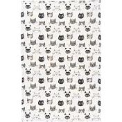 《NOW》餐廚布巾 | 廚房抹布 清潔布 擦拭布 - 貓咪